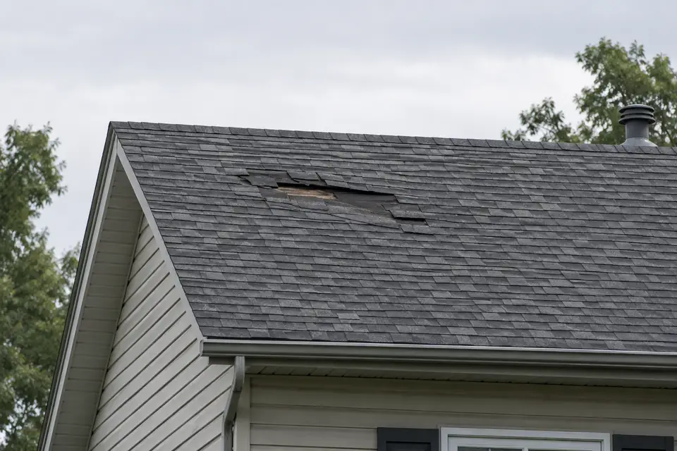 Illustrative roof with a localized area of missing or lifted shingles.