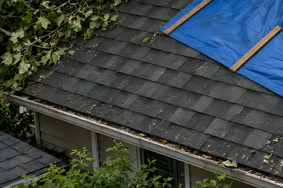 Eave and gutter: close-up detail from the emergency tree tarp photo above, for step 3, What is not in this invoice.