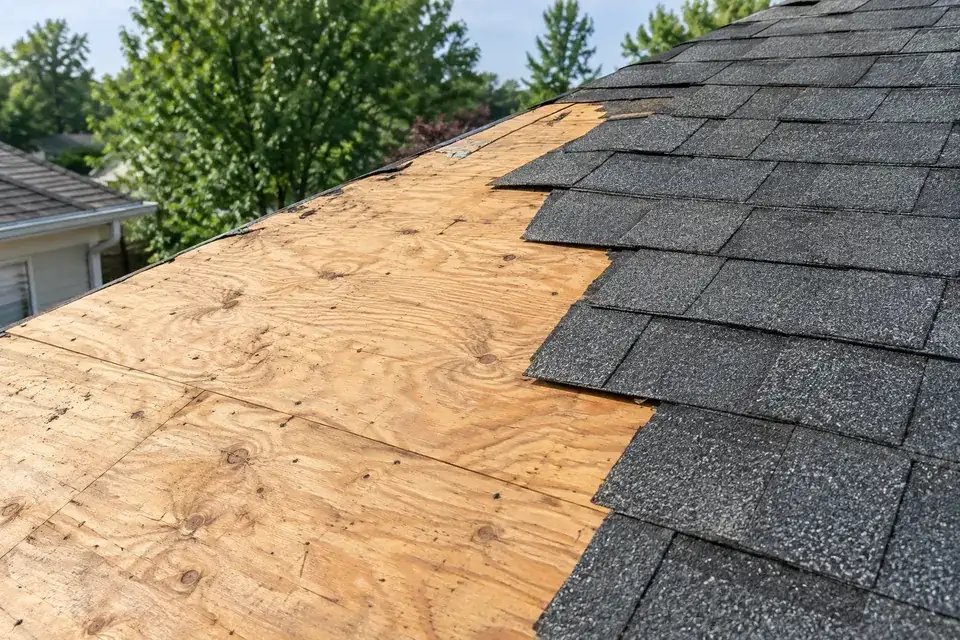 Tear-off view showing bare plywood roof decking, underlayment and new architectural shingles.